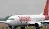 SpiceJet plans to hire up to 2,000 staff, including pilots