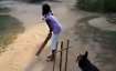 Sachin Tendulkar shares video featuring dog & children playing cricket