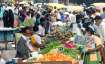 WPI inflation eases to 13.56 per cent in December