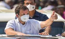 rahul gandhi news,rahul gandhi,rahul gandhi kochi,rahul gandhi kochi news,rahul gandhi kerala campai