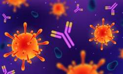 What are antibodies and antibody tests? Does a negative antibody test mean the vaccine isn’t working