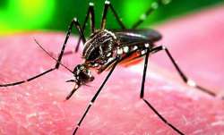 Zika virus, Zika virus latest news, Zika virus Kerala, Zika virus Kerala case toll, 