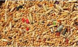 Benefits of consuming multigrain ready to eat cereals