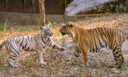 delhi zoo reopens