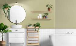Vastu Tips: Things to keep in mind before putting a mirror in the bathroom