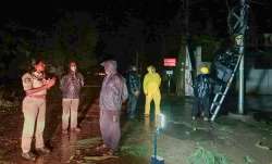 Police personnel and locals at a site after a tree fell