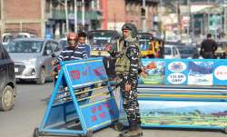 panun kashmir statement