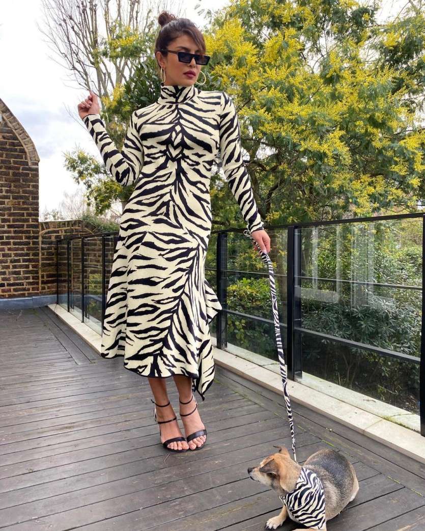 Keeping it chick and classy, Priyanka opted for these black rectangular sunnies while posing with her dog.