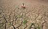 About 20.40 lakh hectare farm land have been affected due