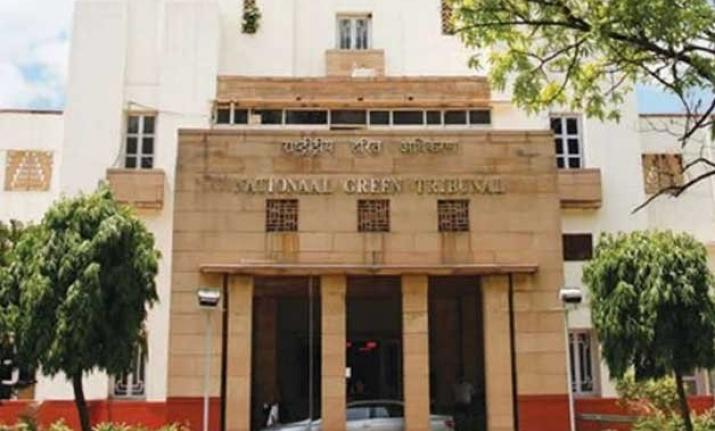 NGT asks expert panel to probe if more norms needed to