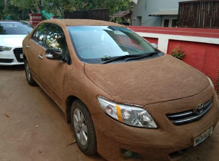 Her car painted with cow-dung, uses horse cart for small