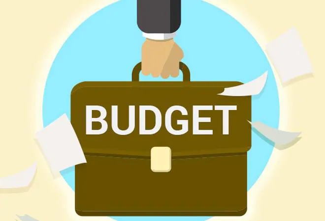Budget 2019-20: Publishers, book lovers unhappy with tax on